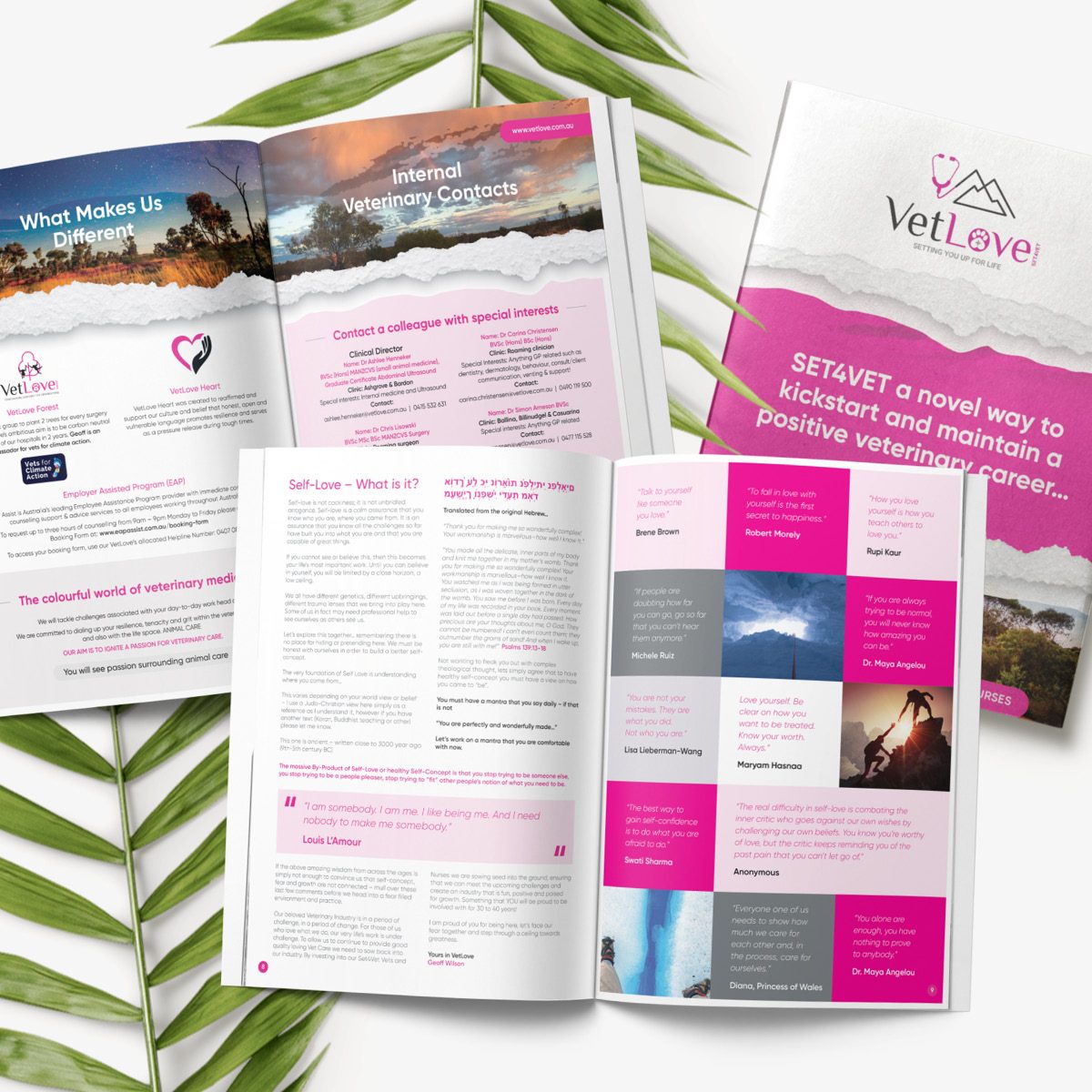 brochure designers vetlove