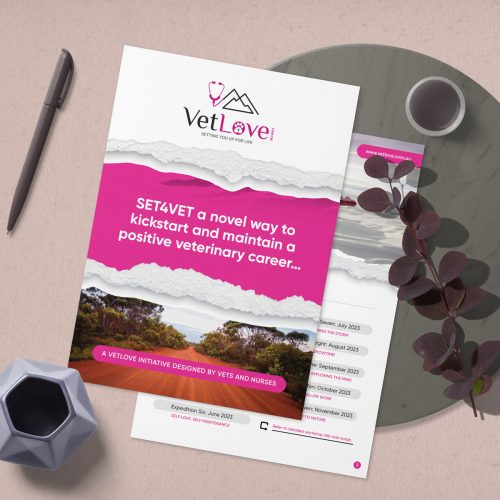 brochure design vetlover