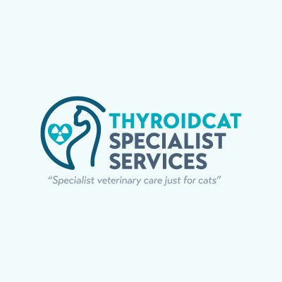 logo designs specialist services