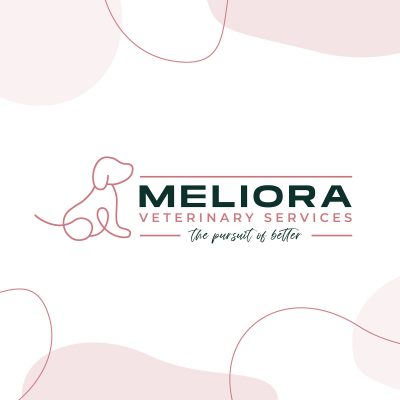 logo designers australia veterinary services